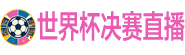 世界杯决赛直播